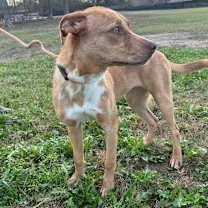 Thumbnail photo of Hazel JuM  #3