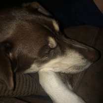 Thumbnail photo of Dale #3