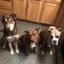 Thumbnail photo of Dale #4