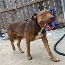 Thumbnail photo of Murdoch #3