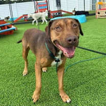 Thumbnail photo of Murdoch #4