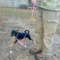 Thumbnail photo of Priscilla #2