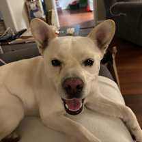 Thumbnail photo of Shane #3