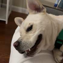 Thumbnail photo of Shane #4