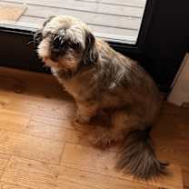 Thumbnail photo of Joe #2