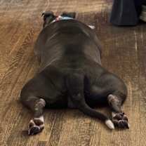 Thumbnail photo of Ellie Belly #3