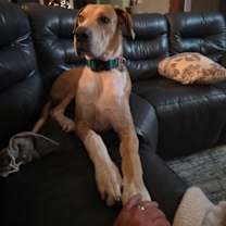 Thumbnail photo of Sammy #3