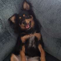 Thumbnail photo of Tito Burrito #3