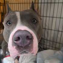 Thumbnail photo of Jackson #1