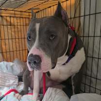 Thumbnail photo of Jackson #3