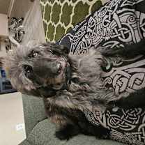 Thumbnail photo of Mr. Humphrey #2