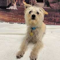 Thumbnail photo of Wesley #3