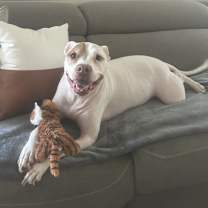 Thumbnail photo of Ms. Bowser #1