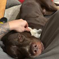 Thumbnail photo of not named yet #3