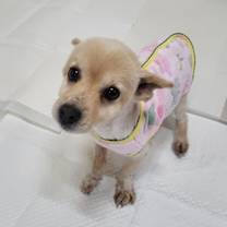 Thumbnail photo of Soobin #1