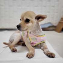 Thumbnail photo of Soobin #2