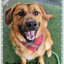 Thumbnail photo of BUSTER #3