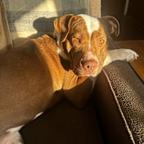 Thumbnail photo of Jillian #2