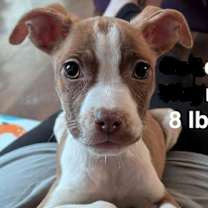 Thumbnail photo of Sabrina Carpenter #2