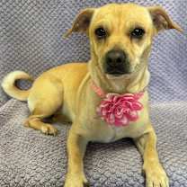 Thumbnail photo of Princess #4