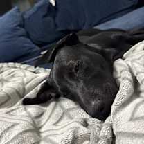 Thumbnail photo of Myla #1