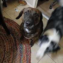 Thumbnail photo of Thanos #1