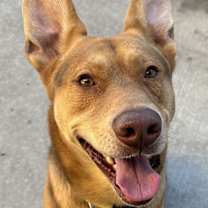 Thumbnail photo of Fabio #1