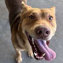 Thumbnail photo of Fabio #3