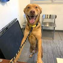 Thumbnail photo of Fabio #4