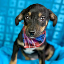 Thumbnail photo of Oakley #3