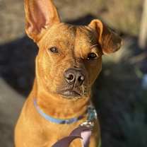 Thumbnail photo of Tina Turner #1