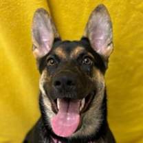 Thumbnail photo of Delilah #1