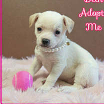 Thumbnail photo of Beth #1