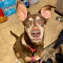 Thumbnail photo of Donna #2