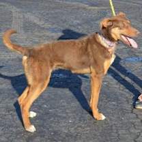 Thumbnail photo of Donna #3