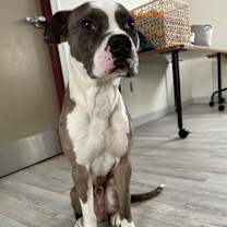 Thumbnail photo of Batty #3