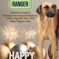 Thumbnail photo of Ranger #1