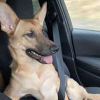 Thumbnail photo of Nova #4