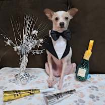 Thumbnail photo of Shrimp #2