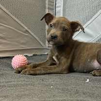 Thumbnail photo of Star #2