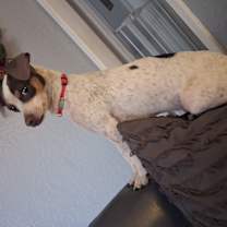 Thumbnail photo of Wanda #1