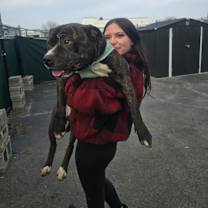 Thumbnail photo of Tyson #4