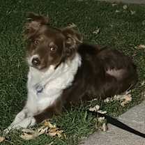 Thumbnail photo of 0917 Rosetta #3