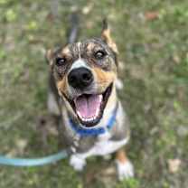 Thumbnail photo of Kenya #2