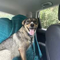 Thumbnail photo of Kenya #3