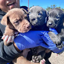 Thumbnail photo of Ruthie #2