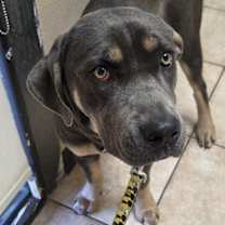 Thumbnail photo of Sage #2