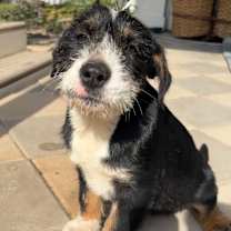 Thumbnail photo of Kevin #3