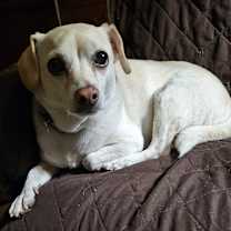 Thumbnail photo of Gunner #4