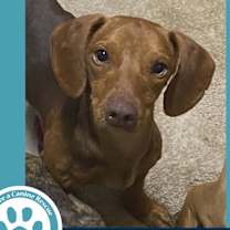 Thumbnail photo of Kain (The K-pack) 122025 #2